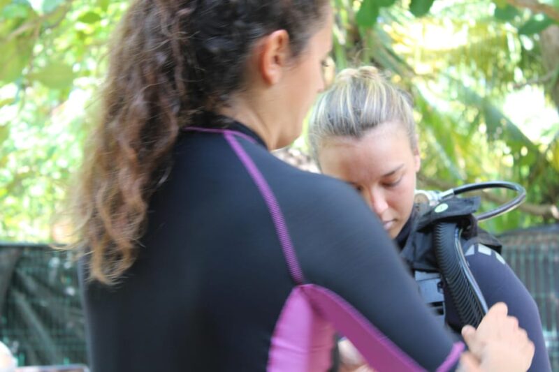 Akumal: Bubblemaker Program - Key Points