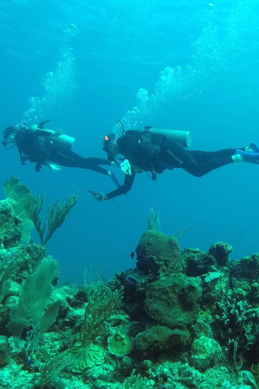 Akumal: Discover Scuba Diving - Key Points