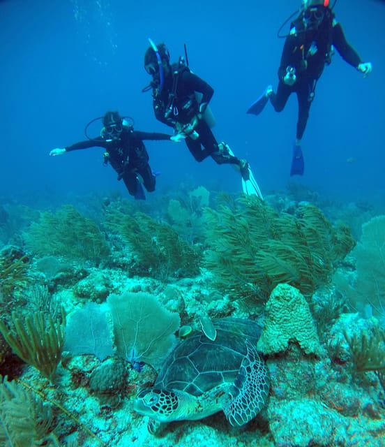 Akumal: Discover Scuba Diving - Scuba Diving Program
