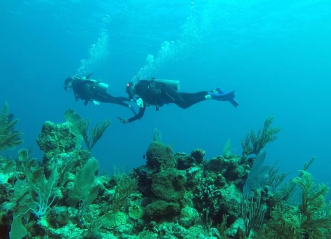 Akumal: Discover Scuba Diving - Frequently Asked Questions