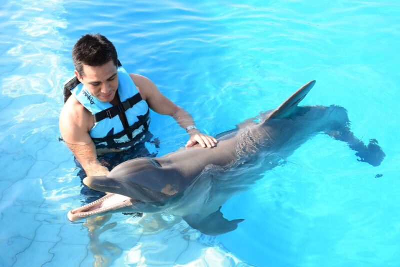 Akumal: Dolphin Encounter - Experience Highlights