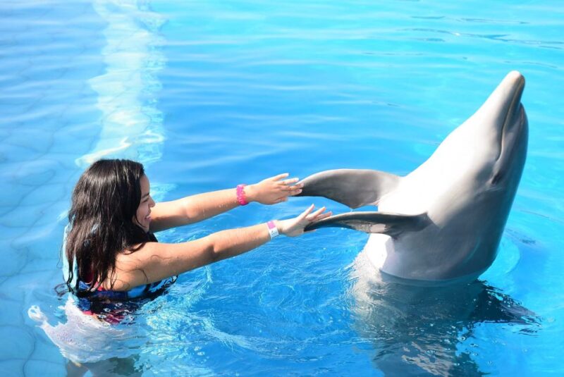 Akumal: Dolphin Encounter - Inclusion and Amenities