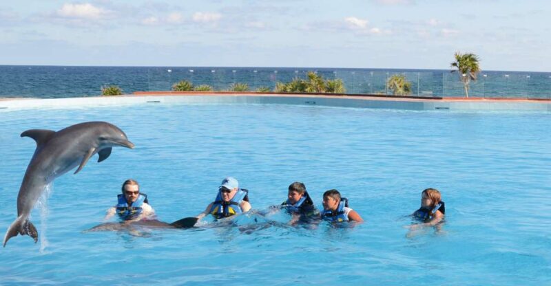 Akumal: Dolphin Encounter - Preparing for the Encounter