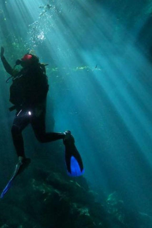 Akumal: Dos Ojos and El Pit Combo Cenote Dive - Key Points