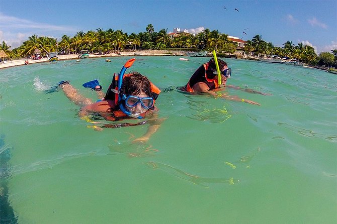 Akumal Marine Turtle Daily Tour - Itinerary and Tour Highlights