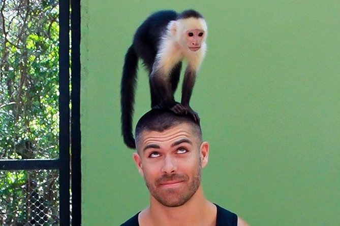 Akumal Monkey Sanctuary - Recommendations for Visitors