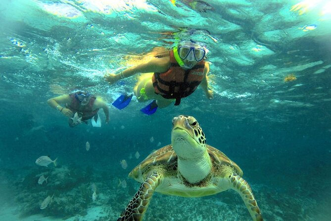 Akumal Paradise Tour Swimming With Turtles & Ancient Tulum Ruins. Lunch Included - Exploring Tulum Ruins