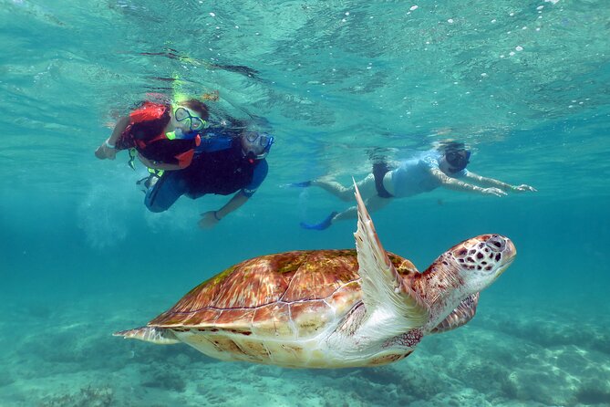 Akumal Paradise Tour Swimming With Turtles & Ancient Tulum Ruins. Lunch Included - Booking Details