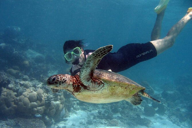 Akumal Paradise Tour Swimming With Turtles & Ancient Tulum Ruins. Lunch Included - Frequently Asked Questions