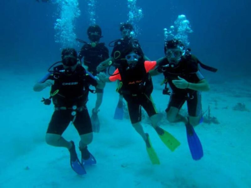 Akumal: Reef Diving Experience - Frequently Asked Questions