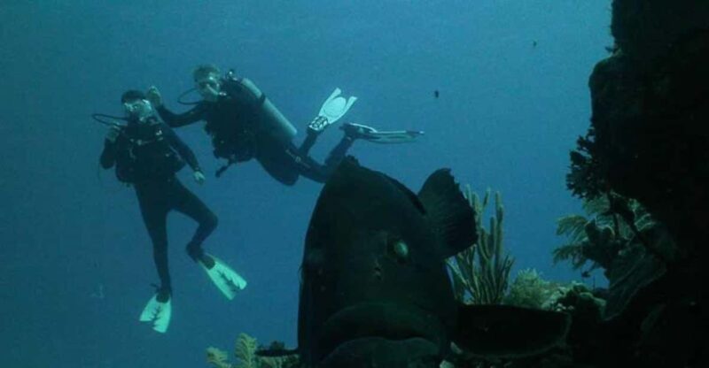 Akumal: Scuba Diving Experience - Key Points