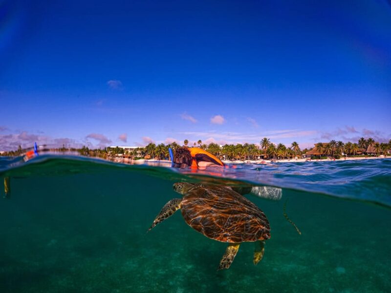 Akumal: Snorkel With Local Guides - Itinerary and Logistics