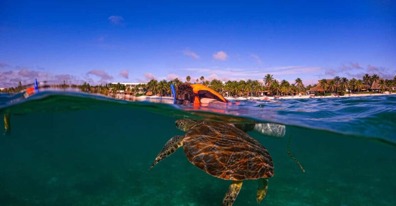 Akumal: Snorkel With Local Guides - Important Guidelines