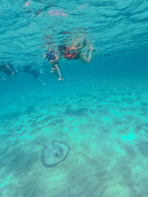 Akumal: Snorkel With Local Guides - Protecting the Ecosystem