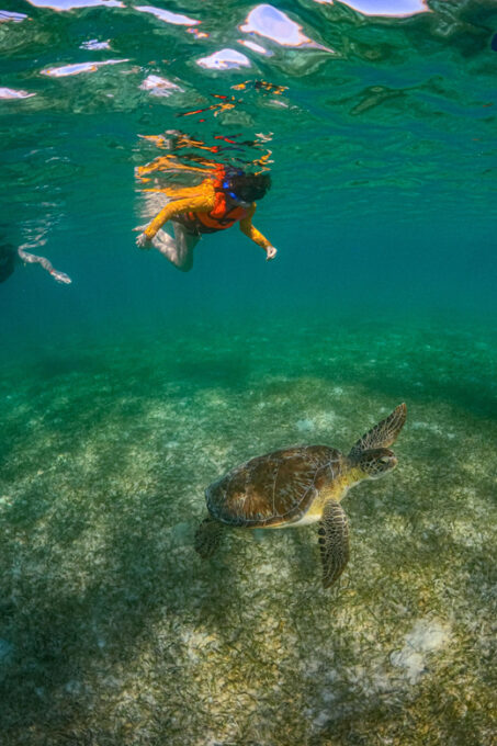 Akumal: Snorkel With Local Guides - Customer Feedback