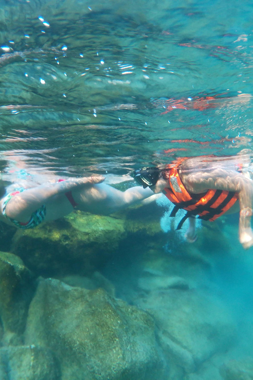 Akumal: Snorkeling and Boat Ride Experience - Key Points