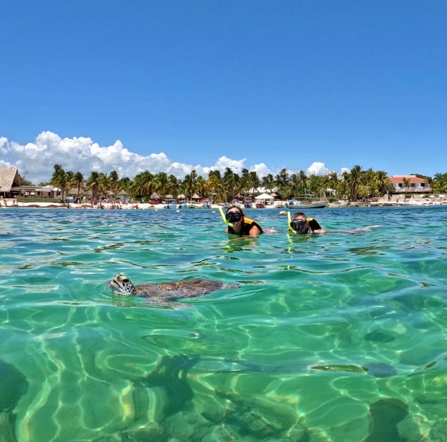 Akumal; Snorkeling and Photos With Turtles - Customer Experiences