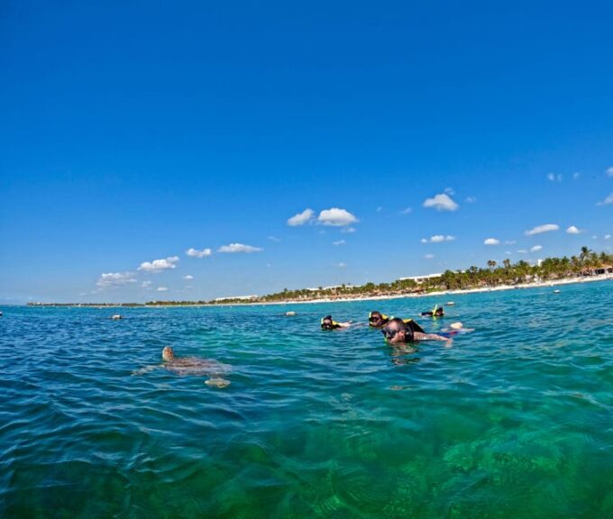 Akumal; Snorkeling and Photos With Turtles - Frequently Asked Questions
