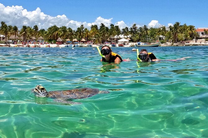 Akumal; Snorkeling and Photos With Turtles - Snorkeling Equipment and Amenities