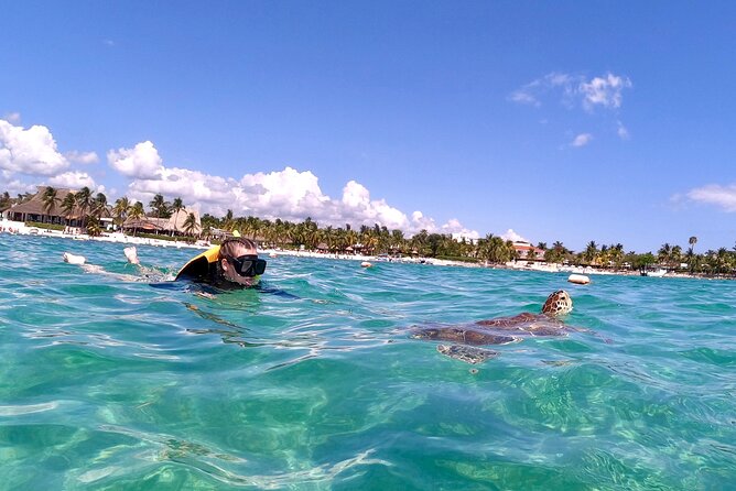 Akumal; Snorkeling and Photos With Turtles - Parking and Meeting Point