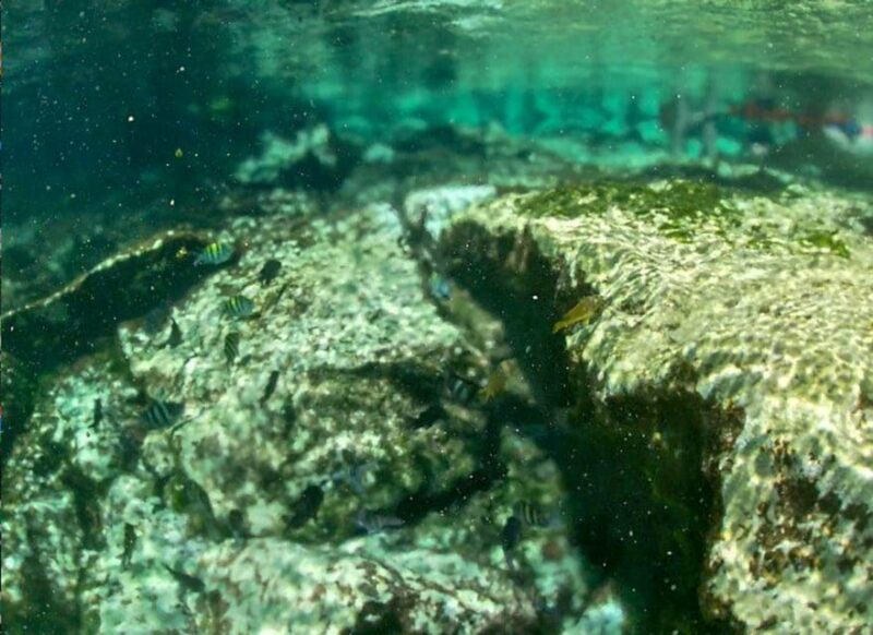 Akumal: Snorkeling Lessons - Guided Tour
