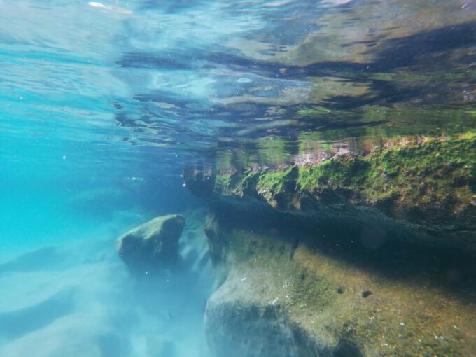 Akumal: Snorkeling Lessons - Cancellation Policy