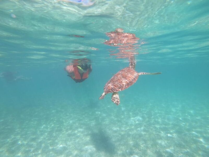 Akumal: Snorkeling With Sea Turtles in Private - Location and Meeting Point