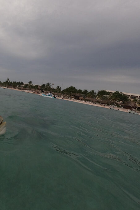 Akumal: Snorkeling With Sea Turtles in Private - Contact and Reservation Details