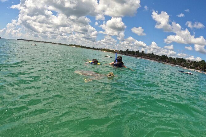 Akumal; Snorkeling with The Sea Turtles - Key Points