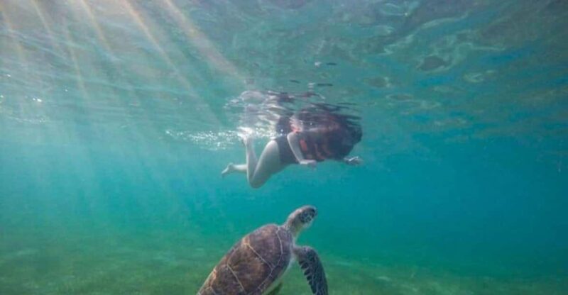 Akumal: Swim With Turtles Tour - Location and Meeting Point