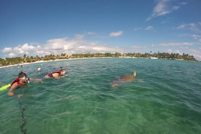 Akumal ,turtles and Gopro - Gear and Preparations