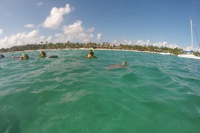 Akumal ,turtles and Gopro - Capturing the Moment