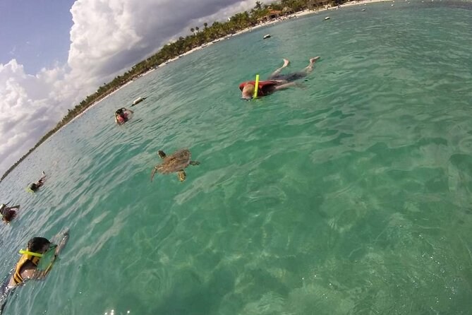Akumal ,turtles and Gopro - Akumals Coastal Beauty