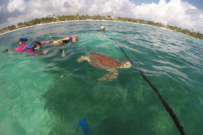 Akumal ,turtles and Gopro - Frequently Asked Questions