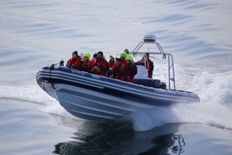Akureyri: 2–Hour Whale Watching Express by RIB Speedboat - RIB Boat Advantages