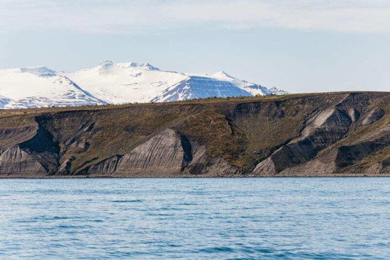 Akureyri: 3-Hour Classic Whale Watching Tour - Meeting Point and Attire