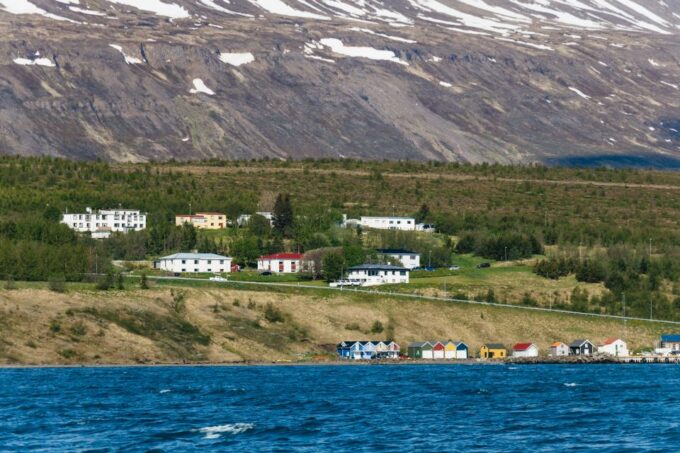 Akureyri: 3-Hour Classic Whale Watching Tour - Frequently Asked Questions