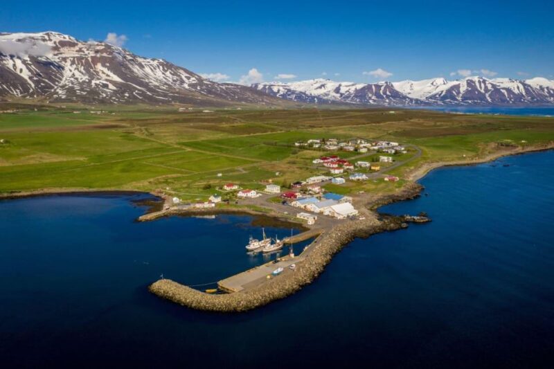 Akureyri: Arctic Coastline & Whale Watching - Itinerary Highlights