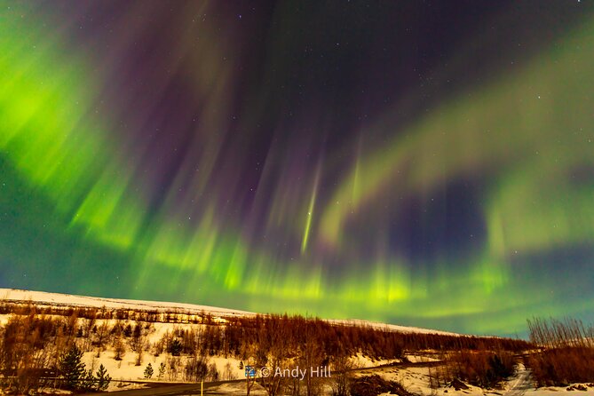 Akureyri Northern Light Tour - Ratings and Pricing