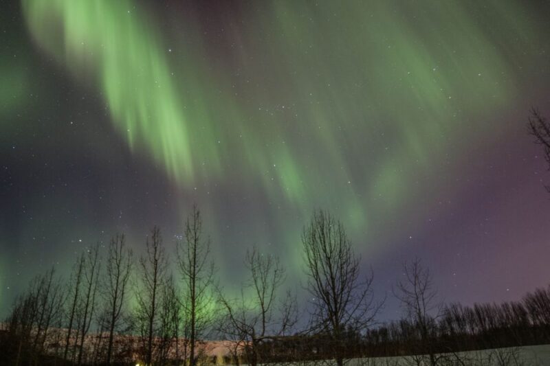 Akureyri: Northern Lights Tour in North Iceland - Key Points