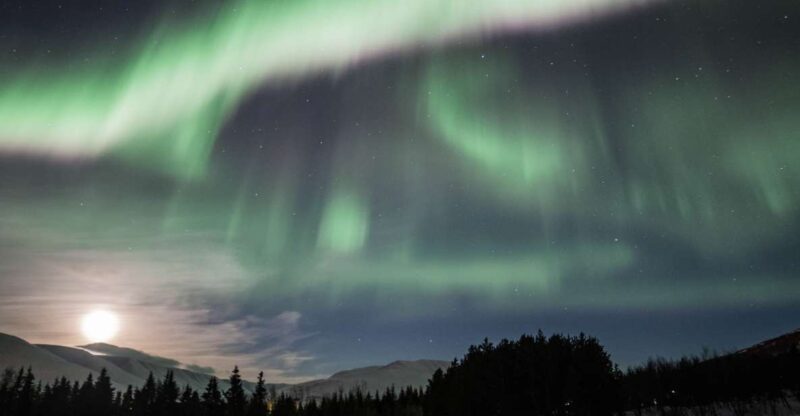 Akureyri: Northern Lights Tour in North Iceland - Experience Highlights