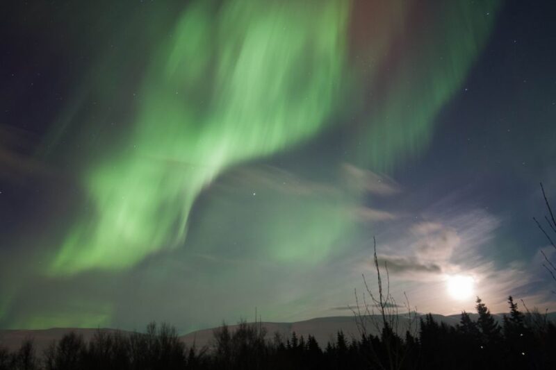 Akureyri: Northern Lights Tour in North Iceland - Tour Features