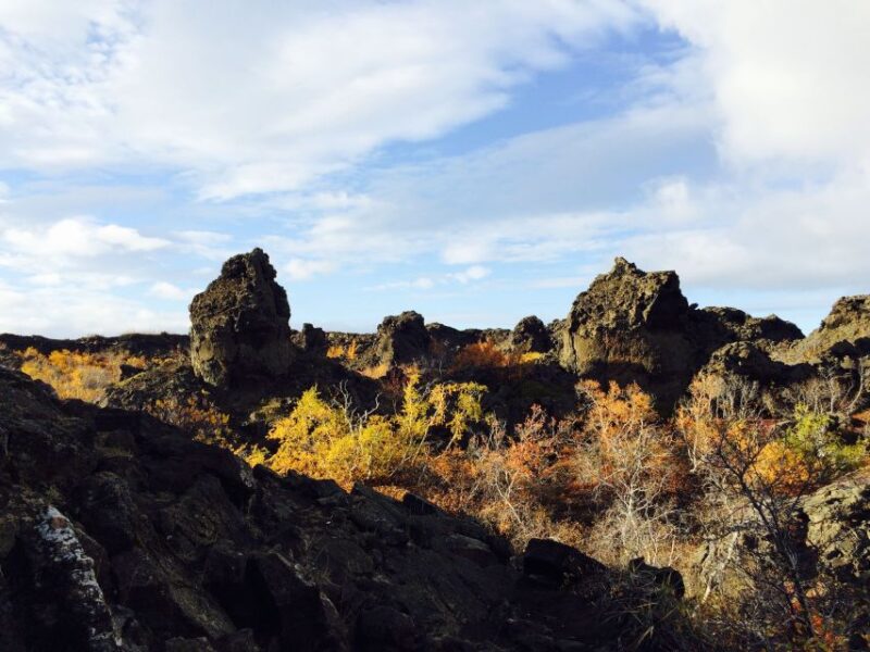 Akureyri Port: Lake Mývatn & Goðafoss Waterfall Day Trip - Customer Reviews and Ratings