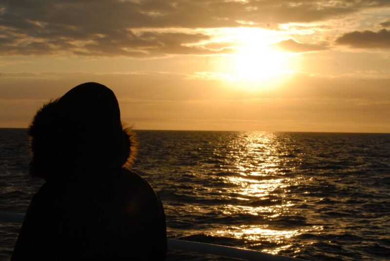 Akureyri: Whale Watching in the Midnight Sun - Memorable Customer Experiences
