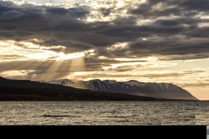 Akureyri: Whale Watching in the Midnight Sun - Frequently Asked Questions
