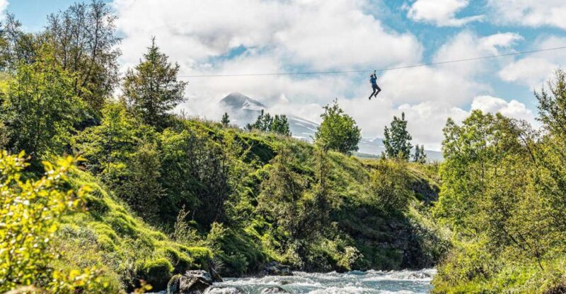 Akureyri: Zipline Tour - Experience Highlights