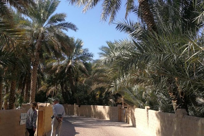 Al Ain City Private Tour With Professional Driver - Historic Sites