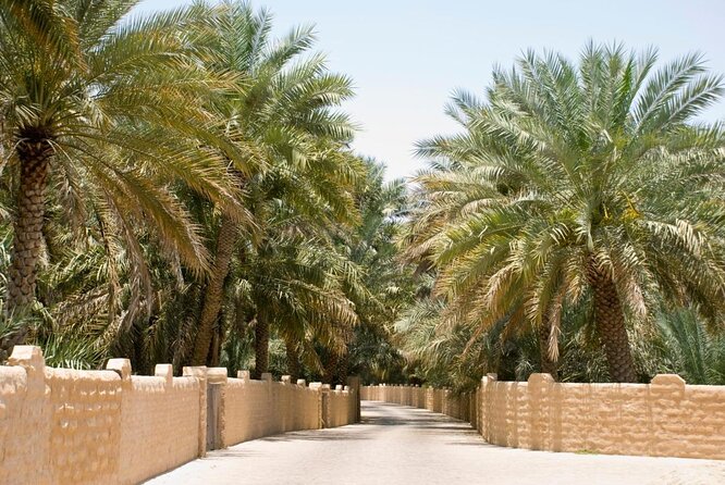 Al Ain City Sightseeing Tour With Lunch From Dubai - Tour Logistics and Details