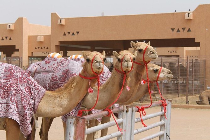 Al Ain City Tour on Private Basis - Booking and Confirmation