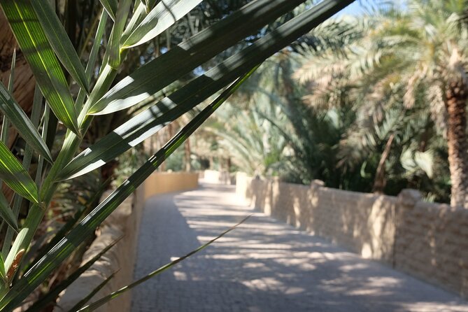 Al Ain City Tour With Natural Oasis, Museum & Zoo Entry Ticket - Pricing